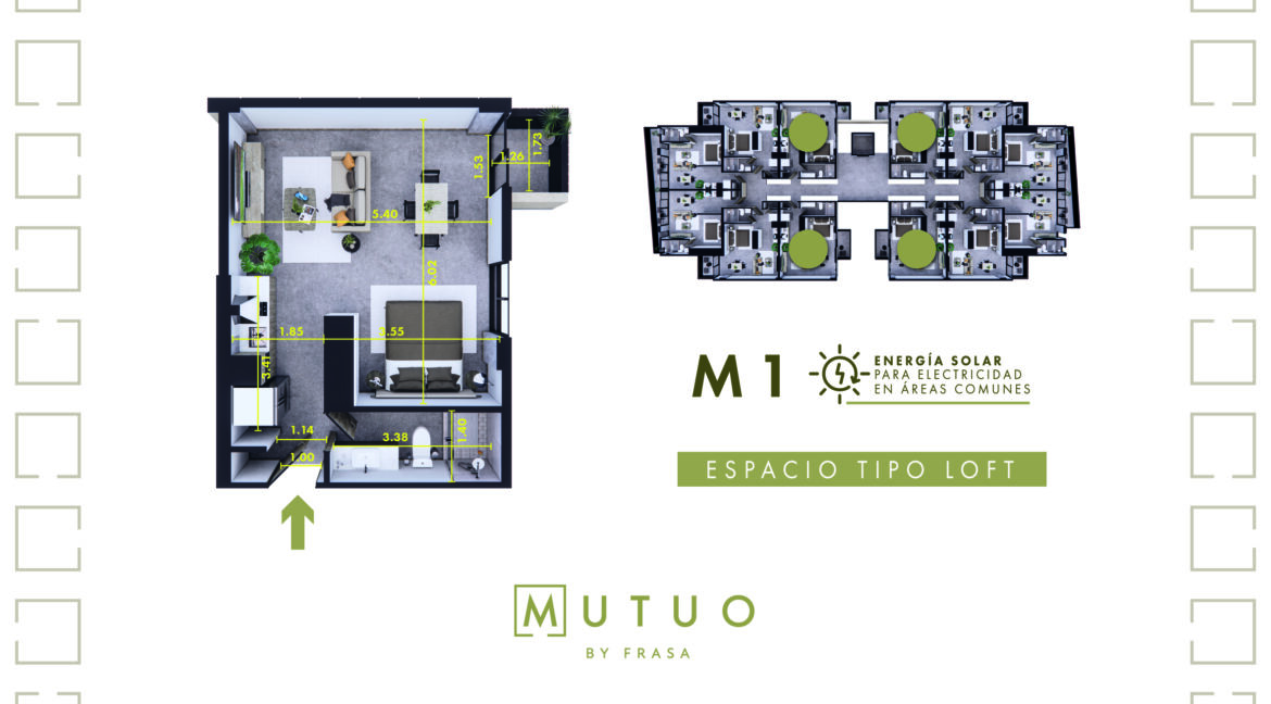 Mutuo- Plantas- Dic14_M1